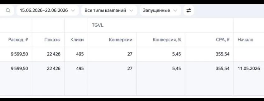 Результаты Яндекс Директа в нише
