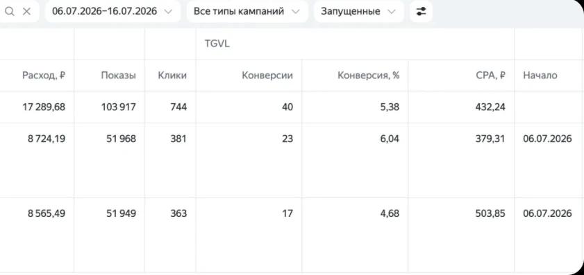 Результаты Яндекс Директа в нише