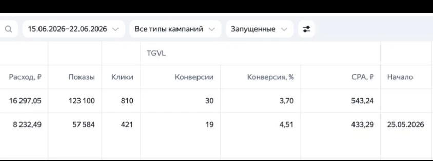 Результаты Яндекс Директа в нише